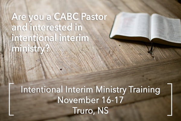 Intentional Interim Ministry Training