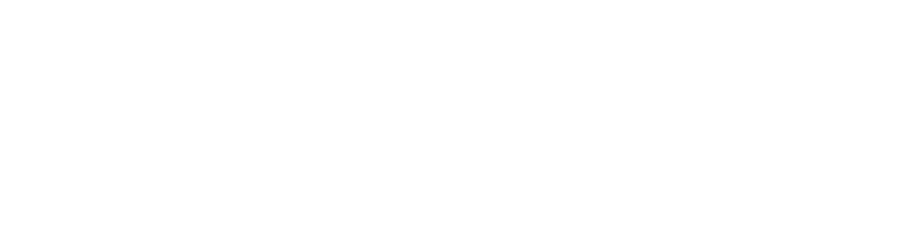 Echo Logo