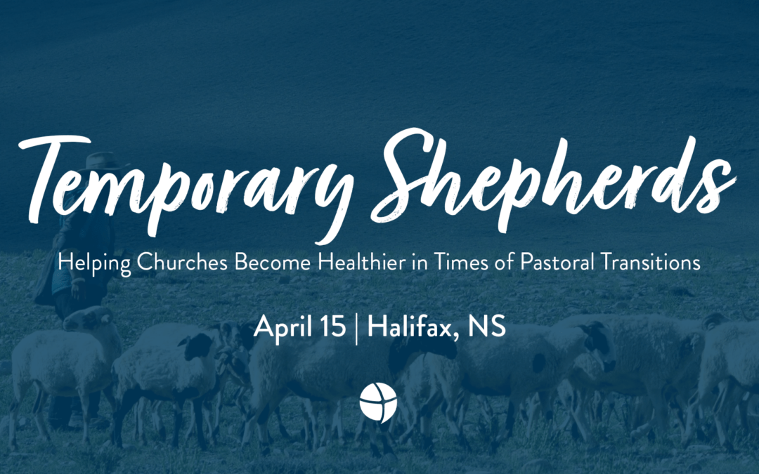 Temporary Shepherds (Halifax)